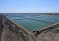 پروژه پرورش آبزیان دریایی در استان بوشهر تدوین شد