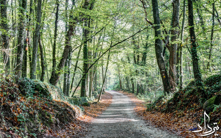 هنر آرامش داشتن