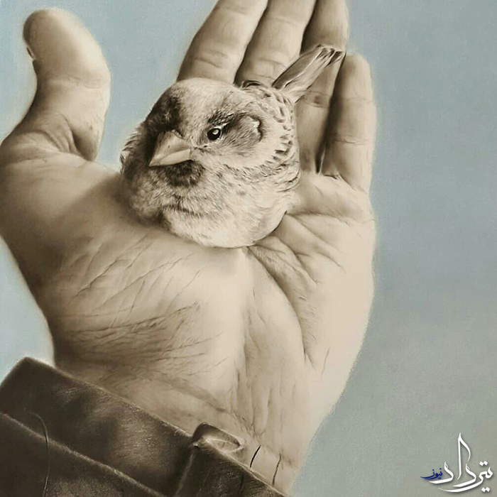 سفارش نقاشی سیاه قلم