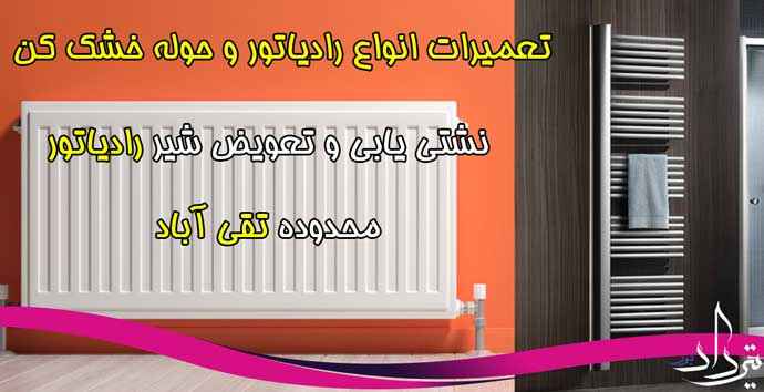 سرویس کار آبگرمکن و پکیج تقی آباد