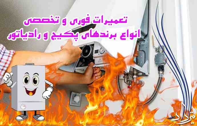 سرویس انواع پکیج در محله دولاب