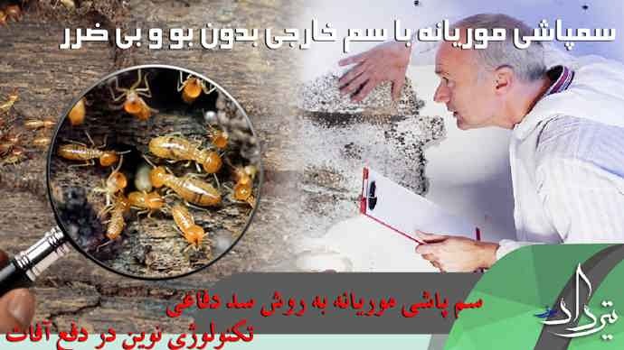 توصیه سمپاشی و ریشه کنی دائمی موریانه