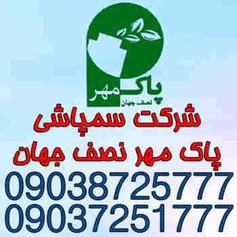 سمپاشی موریانه
