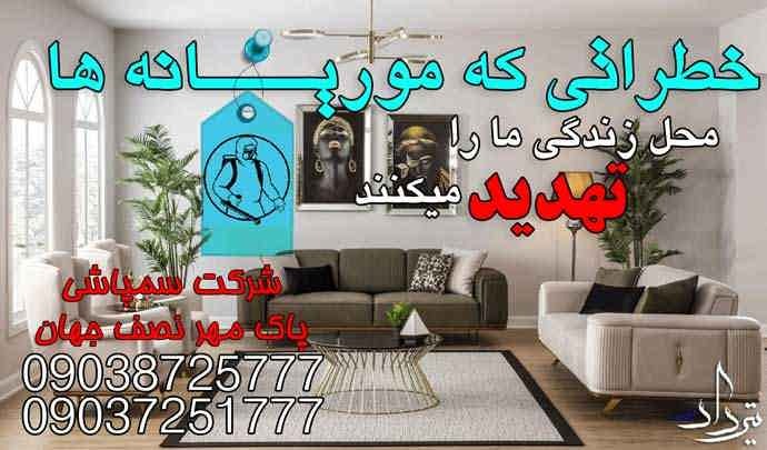 بهترین سموم شیمیایی تضمینی برای سمپاشی موریانه
