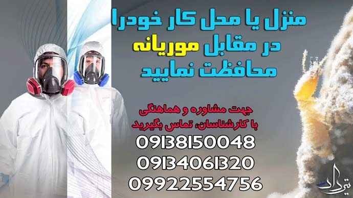 سمپاشی موریانه و ریشه کنی دائمی موریانه