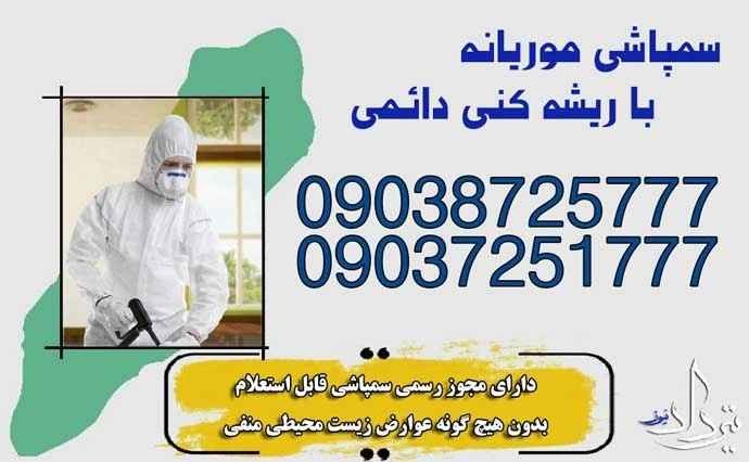 خدمات سمپاشی موریانه و طعمه گذاری تخصصی موریانه