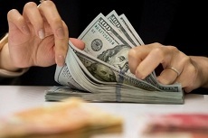 قیمت دلار مبادله ای به ثبات رسید