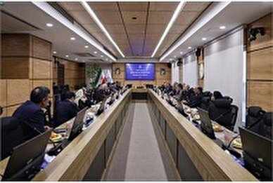 تاکید بر تکمیل زنجیره ارزش و تشکیل تعاونی های تخصصی در طرح اتصال